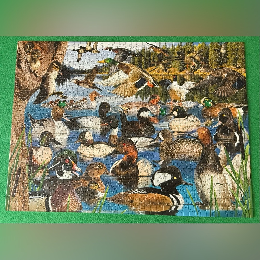 Wildlife Waterfowl Jigsaw Puzzle